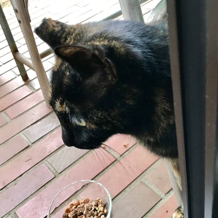 072ef950 f706 4abc 8f0b e664dbd94b94