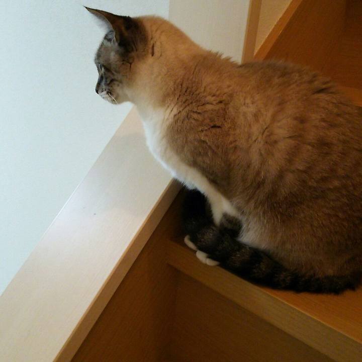 072fa518 95bd 41cf a474 2960da7285da