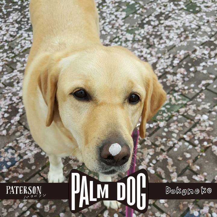 072fab40 5a1e 4ebc acc3 be7c94a2d832