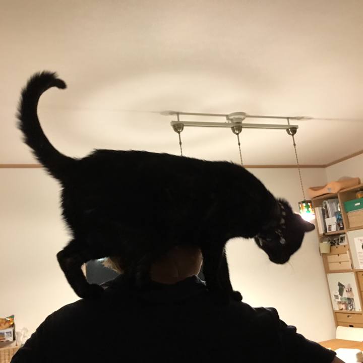 072fdeb2 38fe 4b15 999e f37a344e0ee9