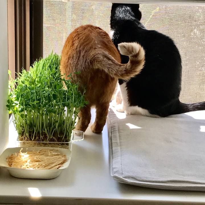 0730f04a 6306 4d57 830d 5e9d98e72abf