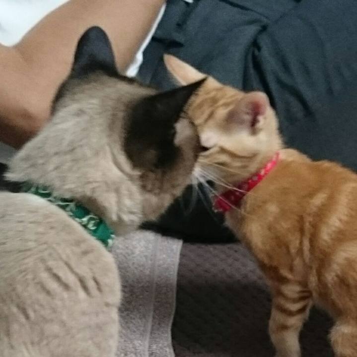 073180fb e43c 43f9 bfb2 897fc1bd5e8d