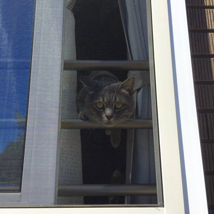 0731b97b 2ff7 409d ba9d d16849e94bc2