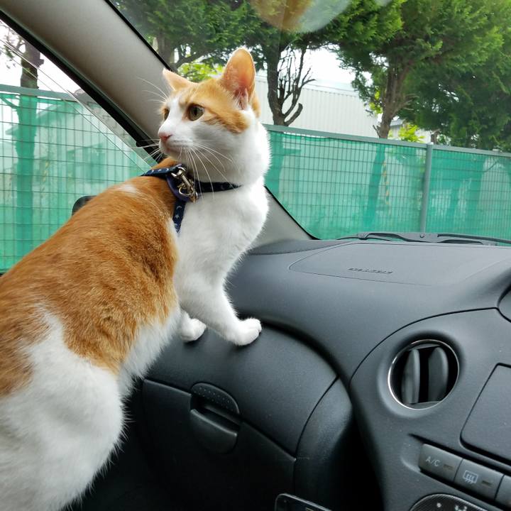 0731ea1a 6fae 4e1c b03e 0c4bdcd7a1a5