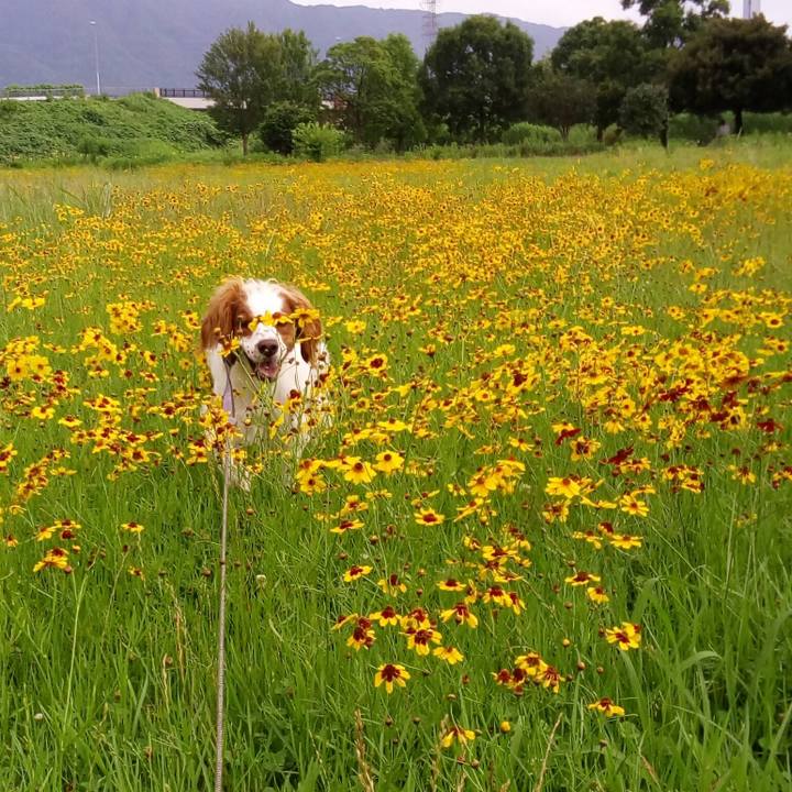 0731f564 4ded 425f b506 a222aee8ff6c