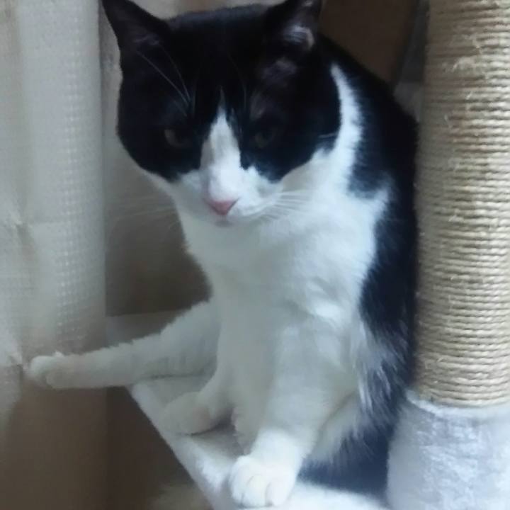 07320993 9bec 4074 880e ba52283ef453