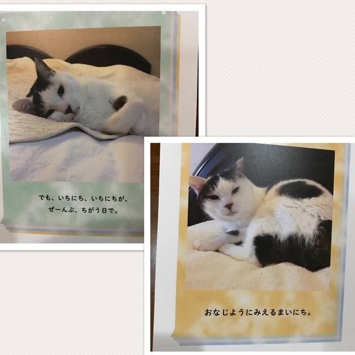 07336f6b ee94 498b 946c 8b2ef5b5ecea