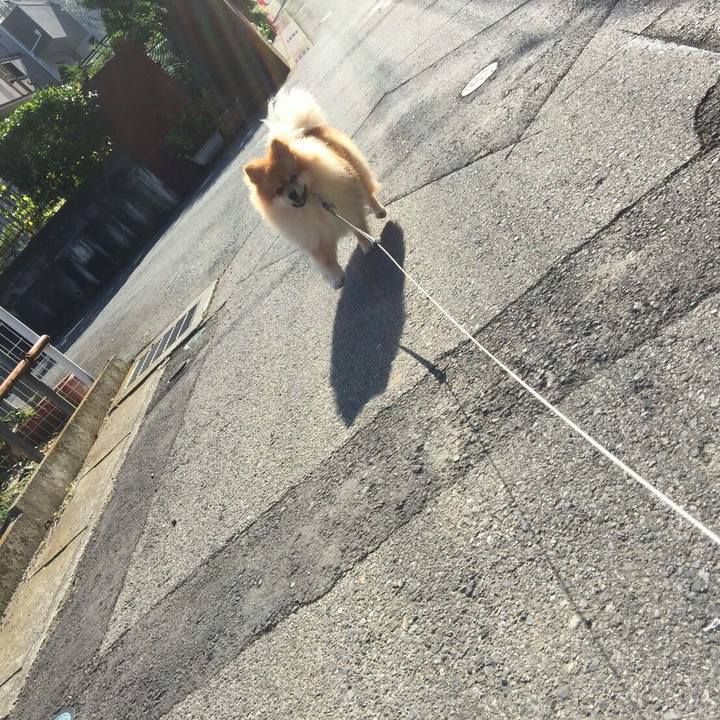 0733b754 cd37 45ab 83f6 e2fdc96acc5e