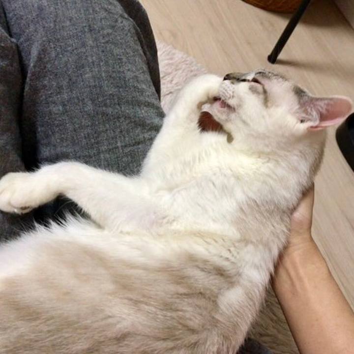 0733ff70 603d 473b a2a0 05b5a004306a