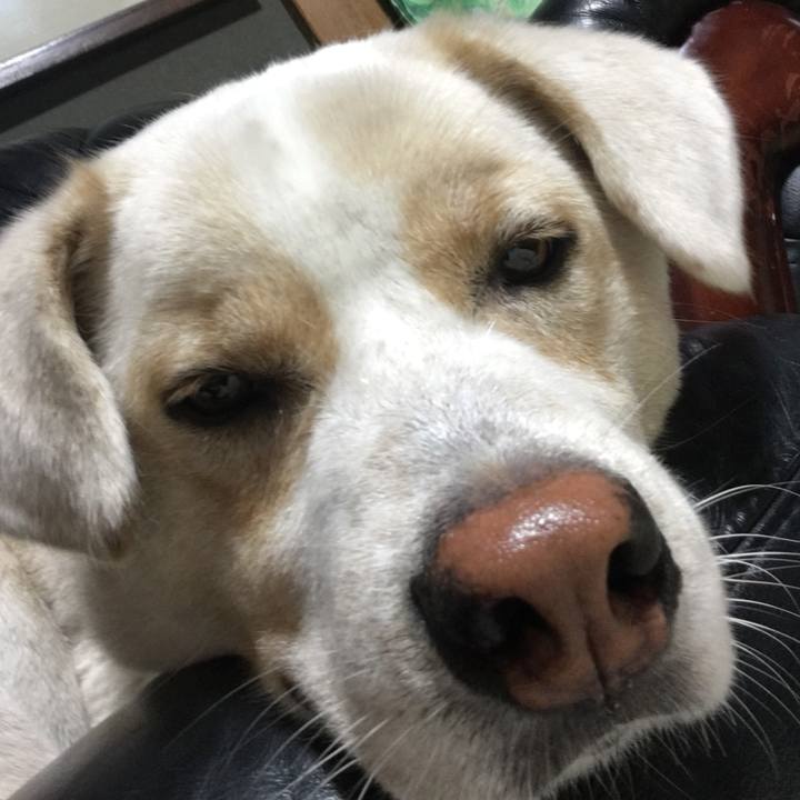 07345adc c4c5 493f 8f37 46580aee5516