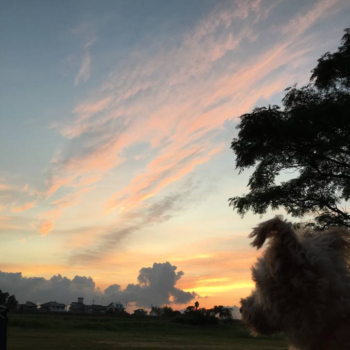 0734a0e8 d56d 459a b6af 8dff7aa67c1a