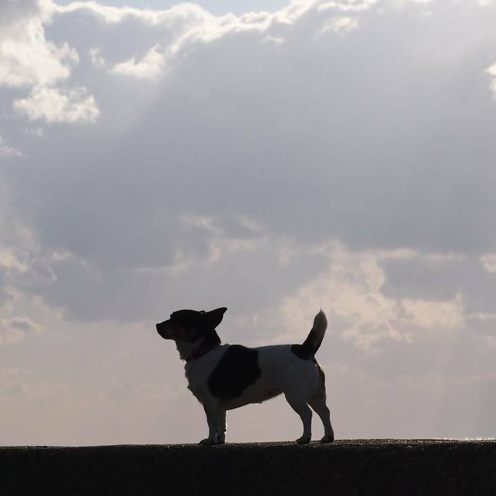 073607df 51e5 4d64 965e 342786339dbb