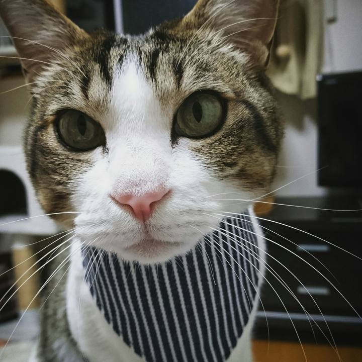 07362bc2 7096 4ca8 a042 b67de6d13430