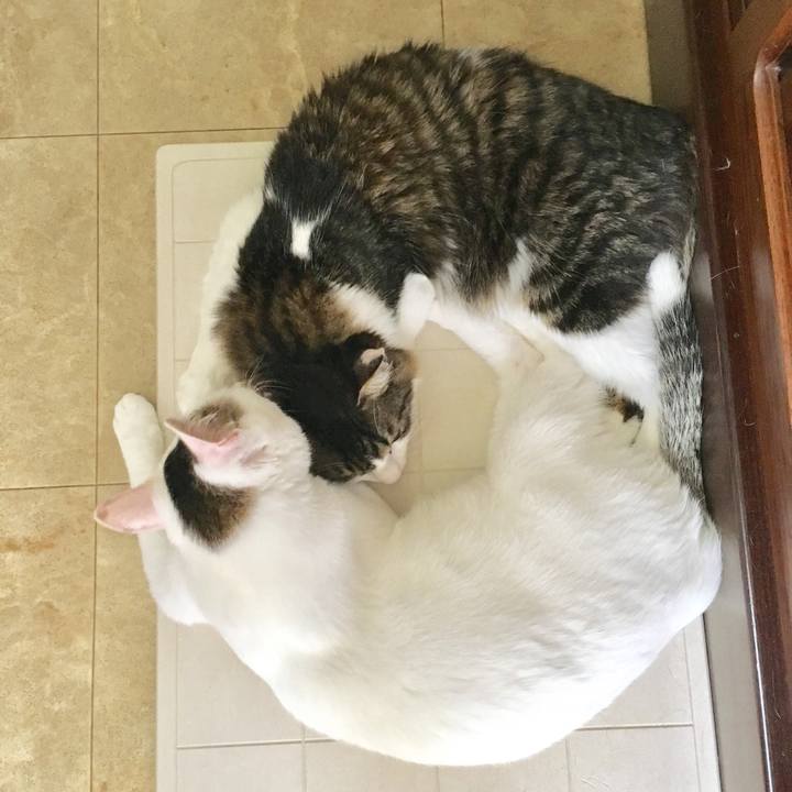 07367298 00ca 4354 9e7b d0d3215b4695