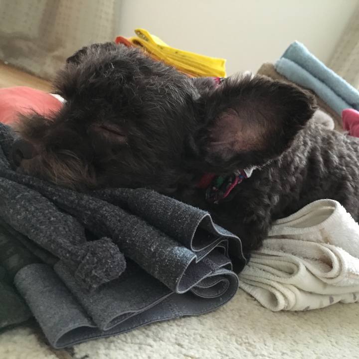 0736d61f 0bf3 48d7 8c5e e98cca020e9b