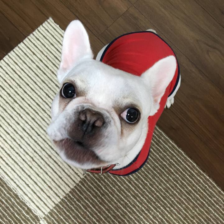 0737161d bf94 4e47 a48f 34e5ce8ff9e6