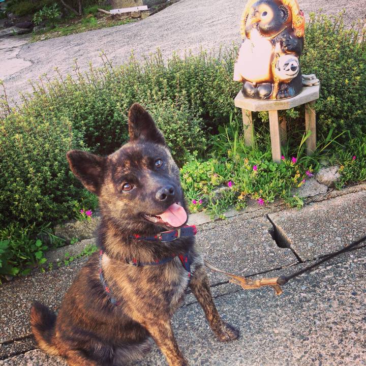 0737174c 5e7c 46a0 aee4 865eb0b741f9