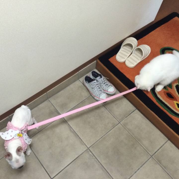 0737dbbc 1073 445f 8938 8cd2abad05b5