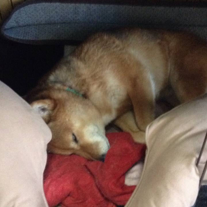 07382b8e 21fc 4767 bada 6c91113e83ef