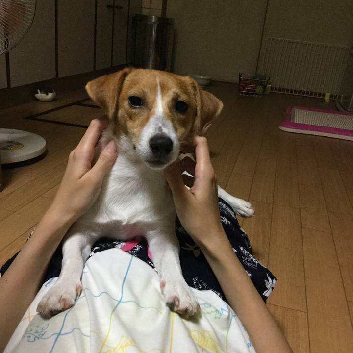 073833f3 dca1 4622 8139 be479ac93563