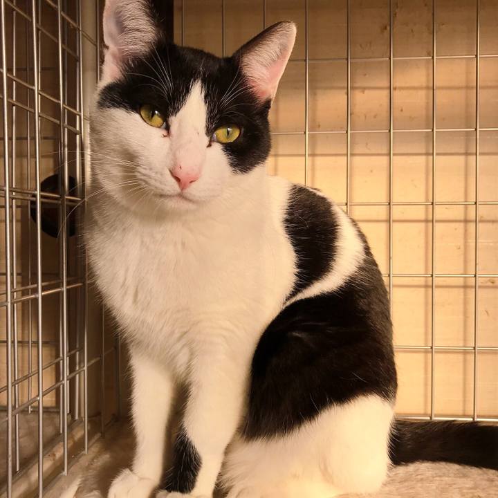 0738350f 5a5a 4389 9c0b c819a9ece911