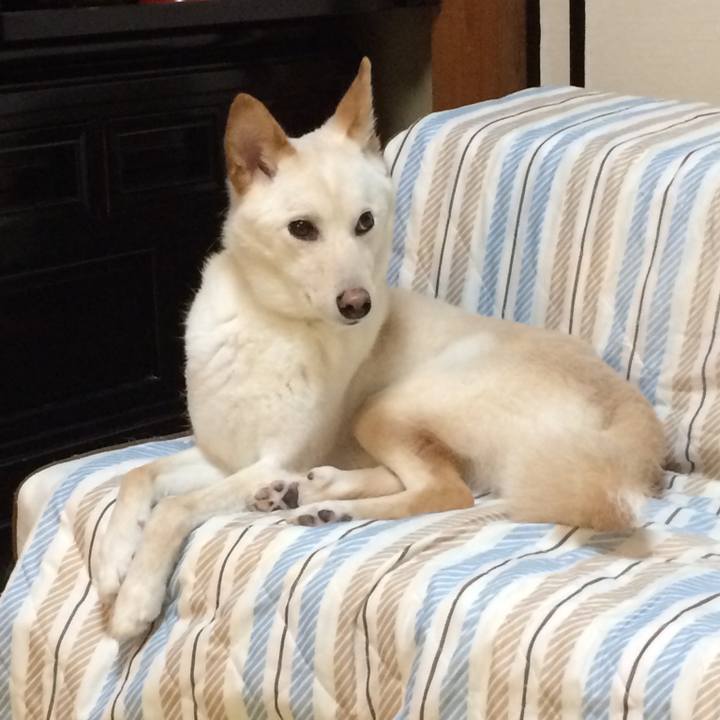 0738416a 9c58 45b7 99a0 6003dc505f09