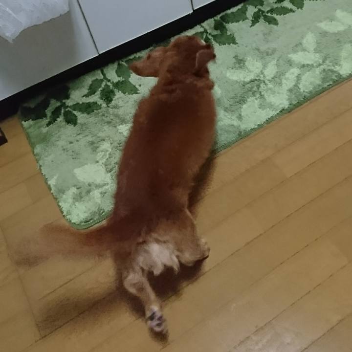 0738d528 2b0e 4d6e b367 5b5c58e3c24a