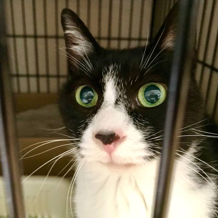 073948e2 0a61 422c 96f9 902b604f9a15