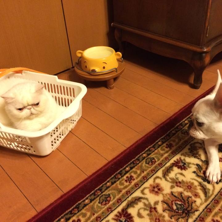 07398092 4959 40aa b10c ea223c8f2444