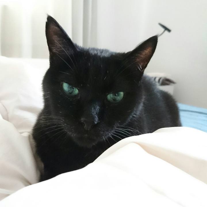 0739a212 aa56 445f 9a4f 00551ab8059d