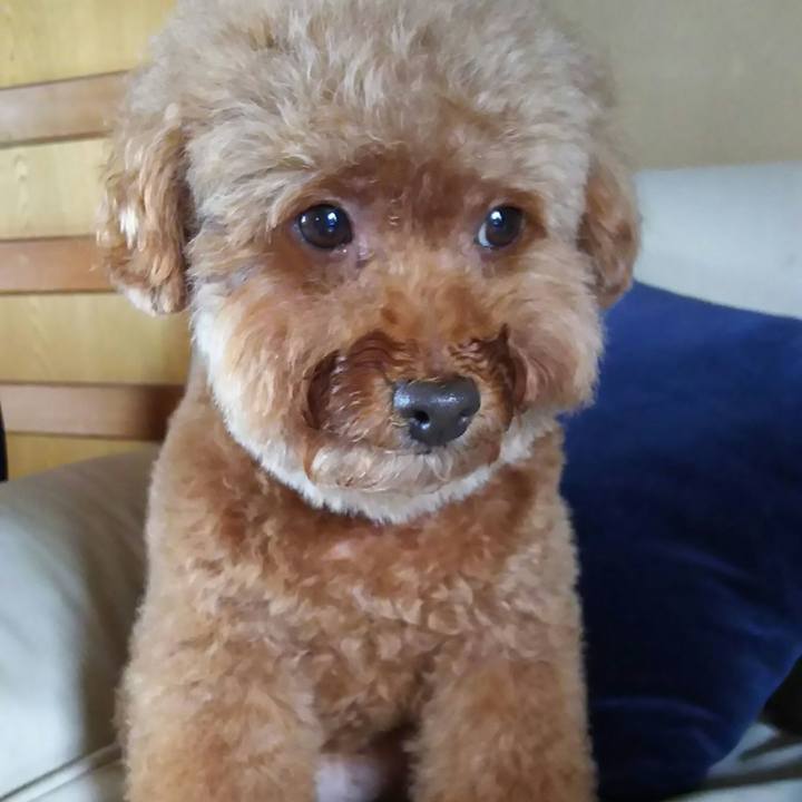 0739c13c d842 4dc7 8f74 c0a8ba561661