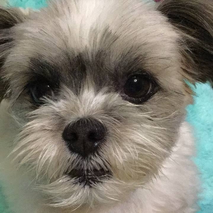 073a7765 76de 4521 a8a1 a43b13098f12