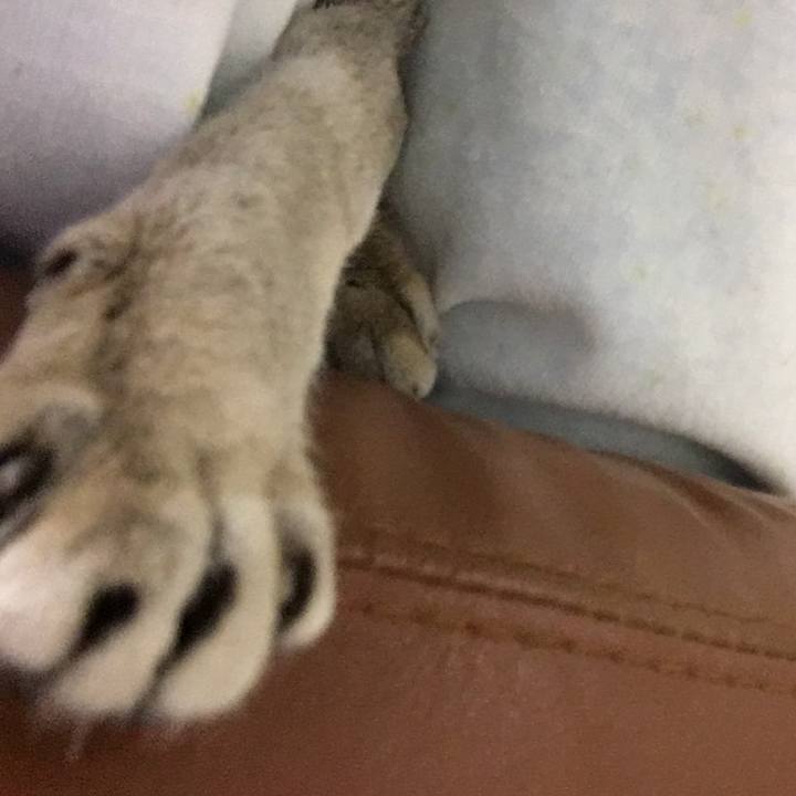 073b09a9 c60d 4696 8c0c cfcc67df274d