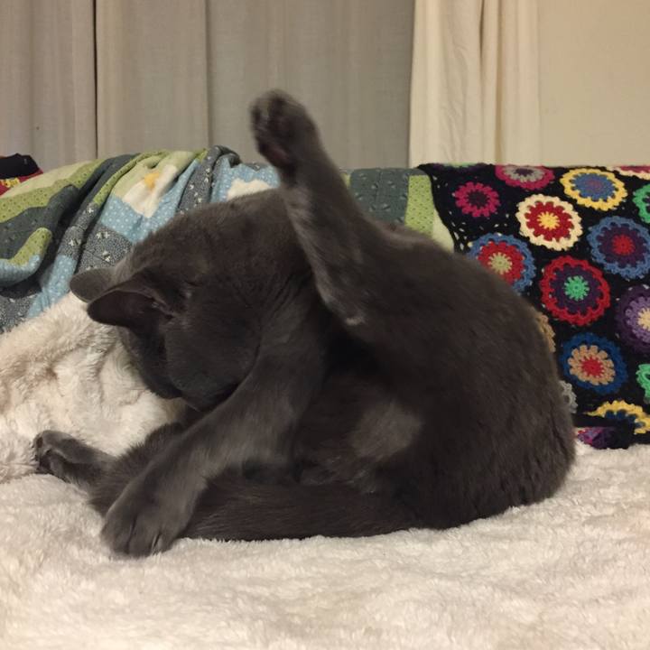 073b3aac 8b20 4fea a228 76007571354b