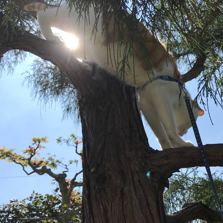 073be49c ccbb 47fe a039 2cab9b20706d