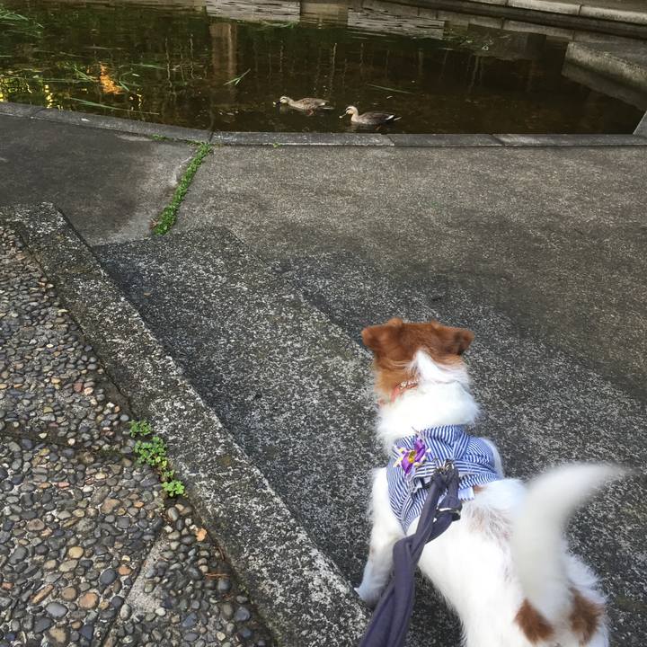 073cb95f 4cc8 4f1f a671 773937563106