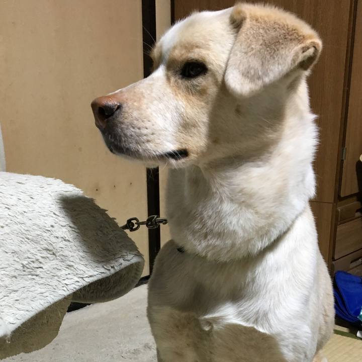 073cf4c9 516f 4d24 babd cc3515dcfef3