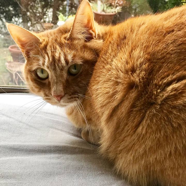 073d3450 ba05 49b9 b92b 6a5521fdddbd