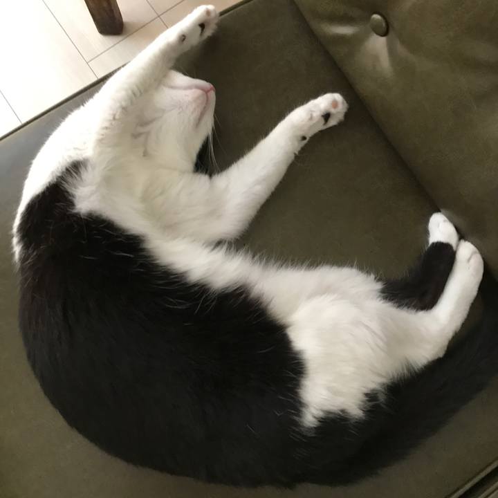 073d8ec3 6aee 414a 98a0 099f6b3cb0f1