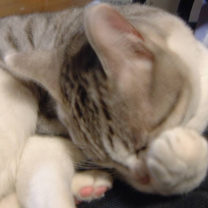 073efbf5 a686 40d9 b1d3 ef3258183049