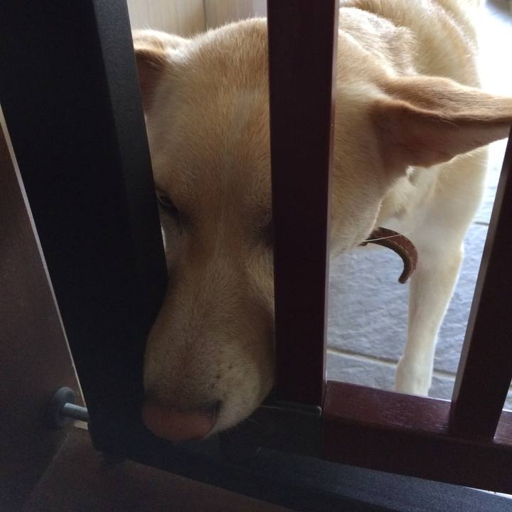 073eff97 ed79 4b98 8e3b 02f550c2ad18