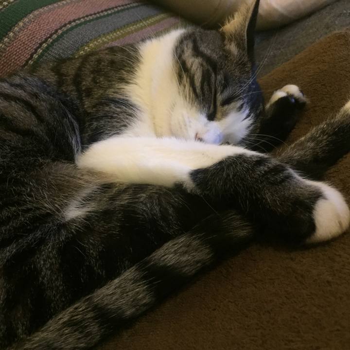 074011dc 7870 4b24 ba70 51c8084ad34b