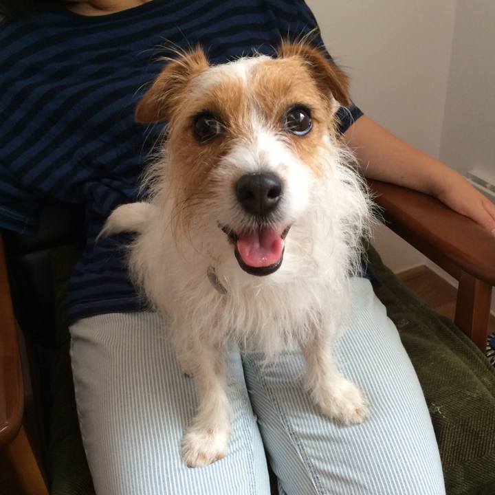 0740e089 8c01 4ceb b579 bbc41fc1afc9