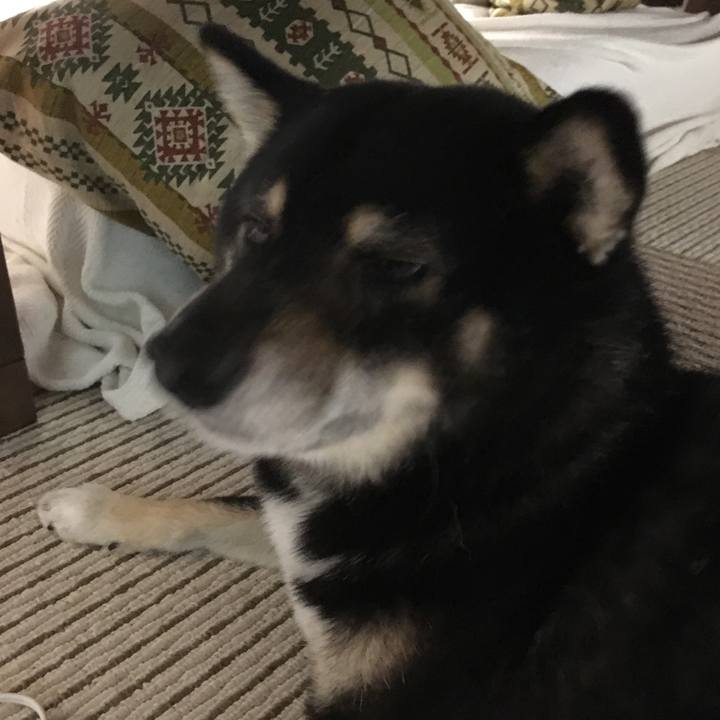 074137c6 2334 4af8 a8f4 54d1e14dff38