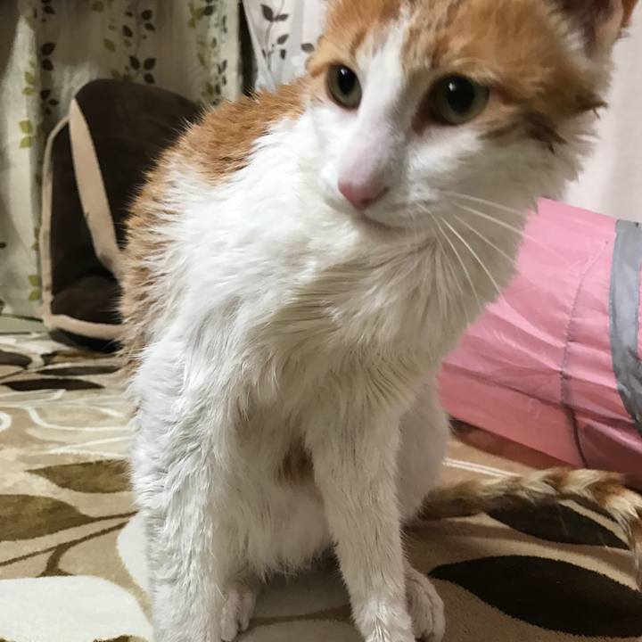 07417f05 efc9 4814 946e 87eb919ee517