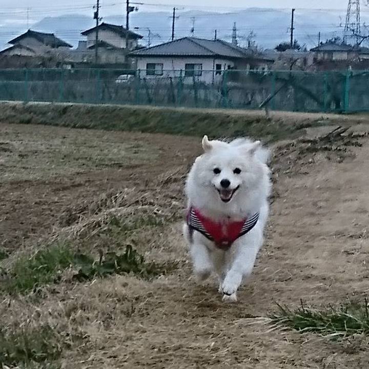 07418b83 9006 446e a76d 758ec1f4e5d2