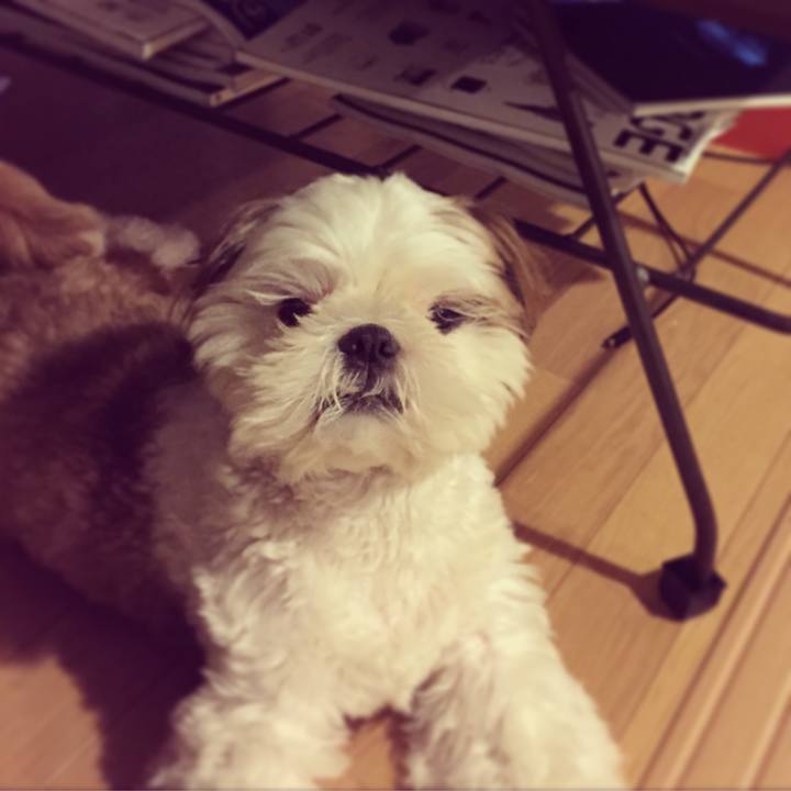 0741d271 edf0 4f29 9145 39b7c123cf79