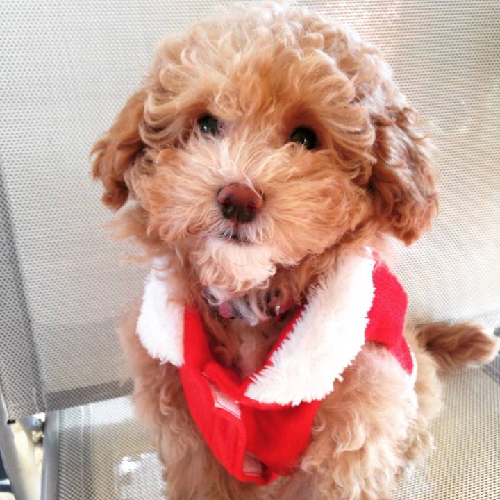 07424517 4424 4e09 a4bb 5584b4188cbd