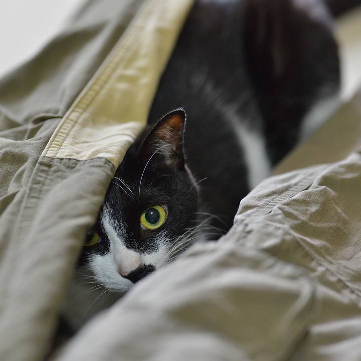 0742b5f4 ba85 4cf2 b6db 51beed42f44e