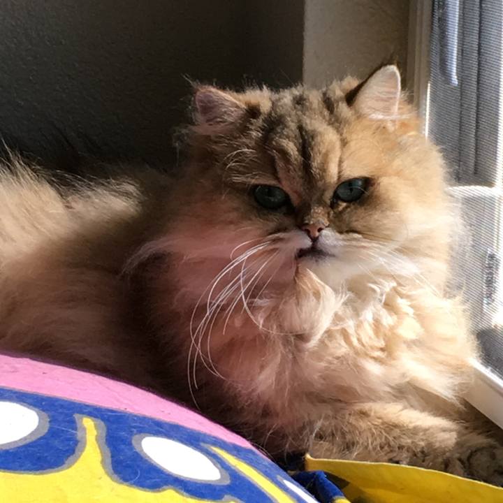 07434132 4d70 480c a843 6b1f0a1d7047